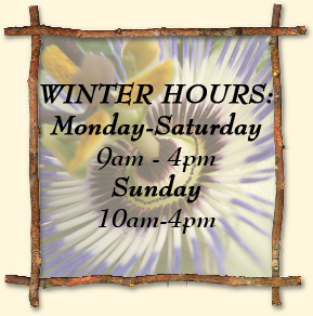 Winter Hours: 10am-4pm Daily